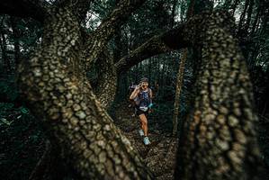 BIB: 
                            <button type="button" onclick="openModal(25682516)" class="btn btn-primary btn-sm float-right btn-popup" data-toggle="modal" data-target=".modal-high-quality">
                        <i class="fas fa-shopping-cart"></i> Add to Cart
                    </button>
                                            <button type="button" onclick="isThisMe(25682516, true)" class="btn btn-success btn-sm float-right btn-popup btn-isme hidden" data-toggle="tooltip" data-placement="bottom" title="นี่คือรูปของคุณใช่ไหม คลิกที่นี่เพื่อเอาเข้าอัลบั้ม">
                        <i class="fas fa-plus"></i> Add to album
                    </button>
                    <button type="button" onclick="isThisMe(25682516, false)" class="btn btn-warning btn-sm float-right btn-popup btn-isnotme hidden">
                        <i class="fas fa-ban"></i> Remove from album
                    </button>